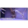 Florida Spotted Gar Lepisosteus Platyrhincus 