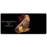 High Back Red Tail Gold Arowana Scleropages Formosus 20cm