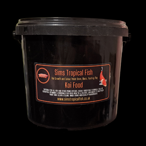 x75 Assorted Grade A White Ghost Koi Carp Cyprinus Carpio 10cm - Auction - Image 2