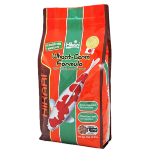 Hikari Wheat-Germ Formula Large 2kg