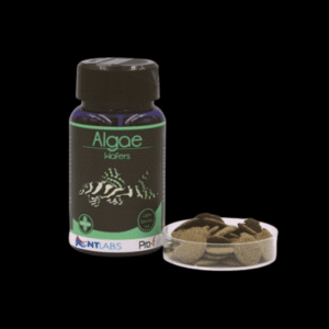 NT Labs Pro-f Algae Wafers