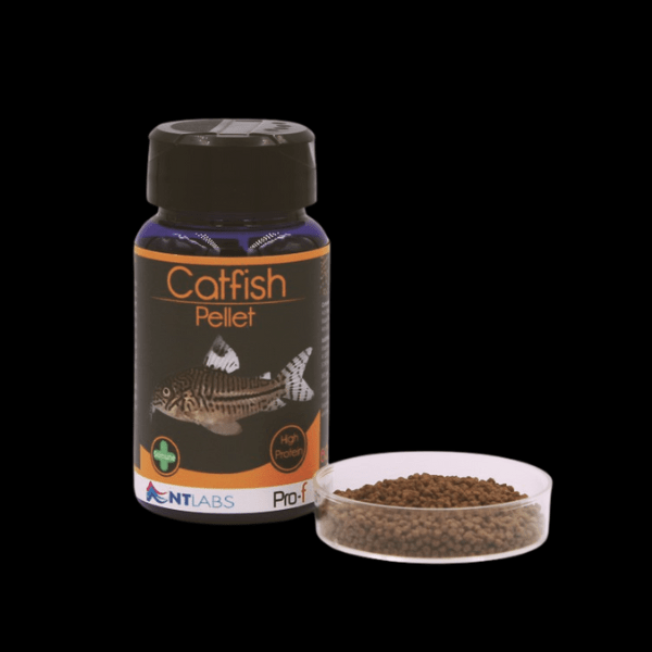 NT Labs Pro-f Catfish Pellet