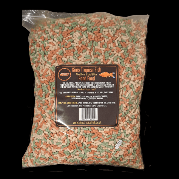 Golden Tench Doctor Fish Tinca Tinca 10cm - Image 2