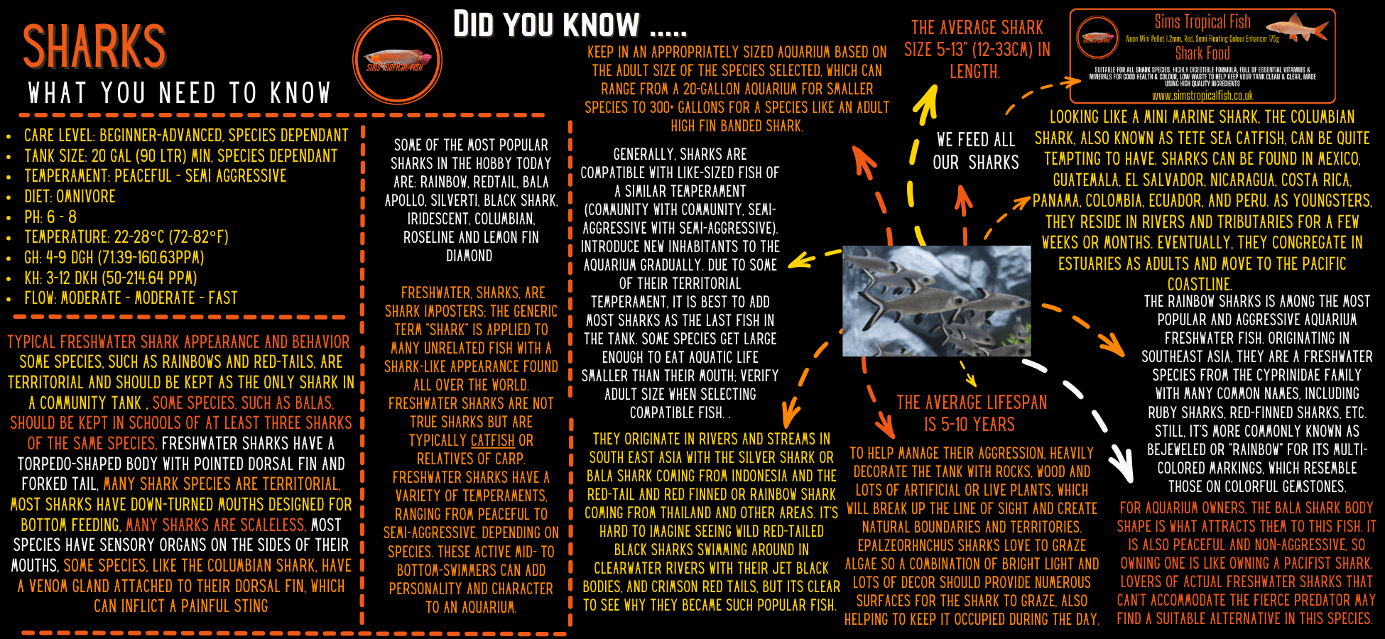 Lemon Fin Diamond Shark Hypsibarbus Wetmorei 8cm - Image 3