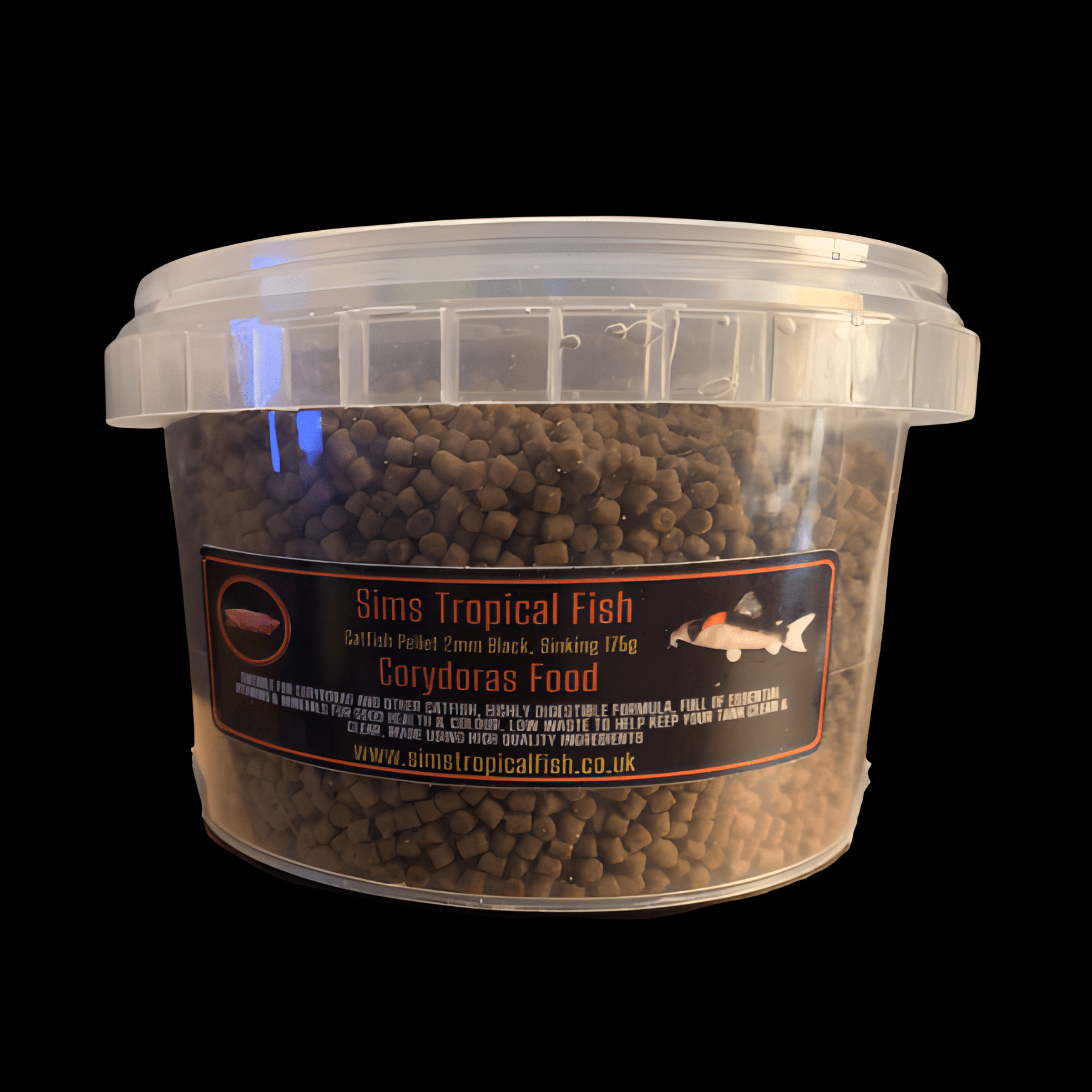 Albino Corydoras Aeneus 3cm Catfish - Image 2