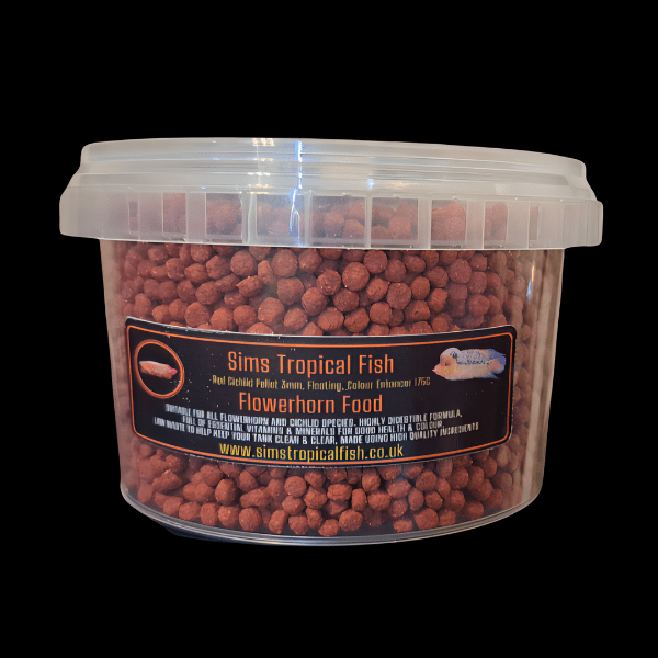 Full Pearl Super Red Flowerhorn Grade A 12cm Male - Image 2