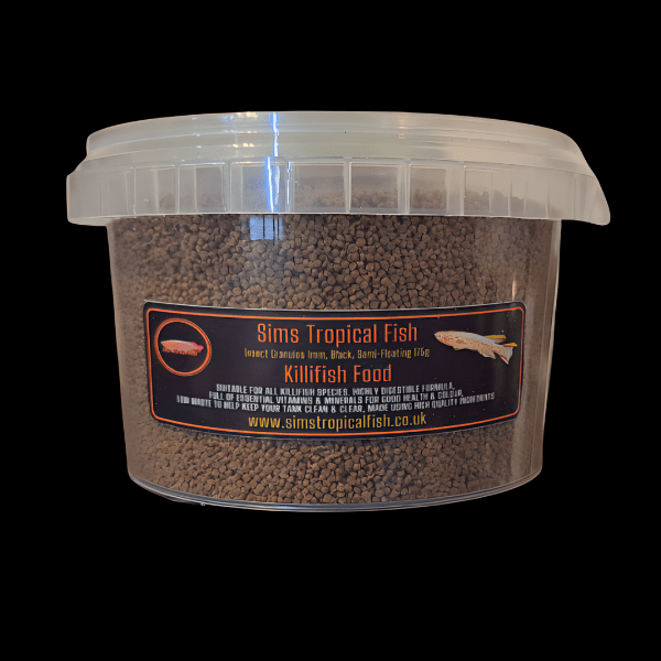 Scarlet Badis Dario Dario - 3cm - Image 2