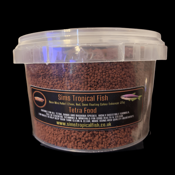 Bandtail Tetra Moenkhausia Dichroura 2cm - Image 2